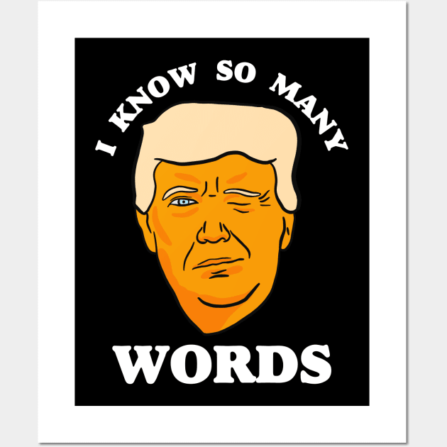 Funny Anti Trump "I Know So Many Words" Wall Art by isstgeschichte